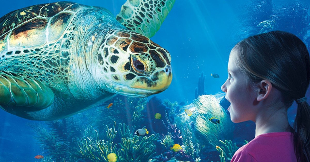 Sea Life Speyer - Speyer | Secret World Trip Planner