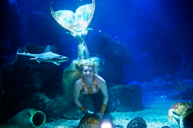 Sea Life Speyer - Speyer | Secret World Trip Planner