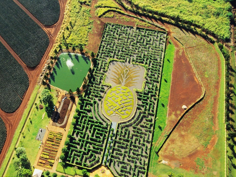 ドールプランテーション迷路、ハワイ - Wahiawa | Secret World Trip Planner