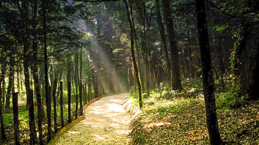 MAB Reserve of Montedimezzo - Vastogirardi | Secret World Trip Planner