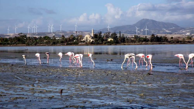 拉纳卡盐湖 - Larnaca | Secret World Trip Planner