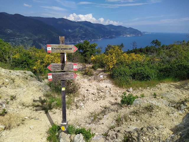 Promontorium van Punta Mesco - punta Mesco | Secret World Trip Planner