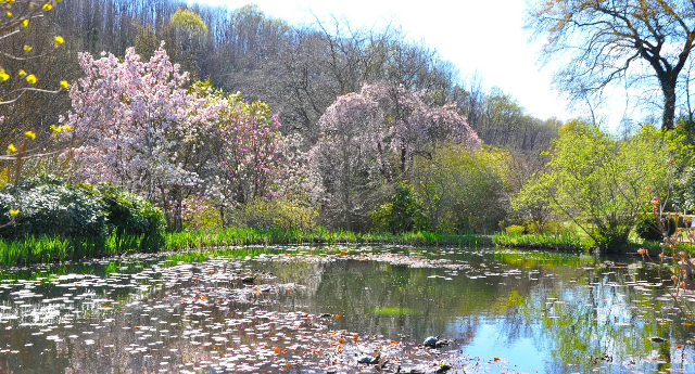 De prachtige Viatori-tuin in Gorizia - Gorizia | Secret World Trip Planner