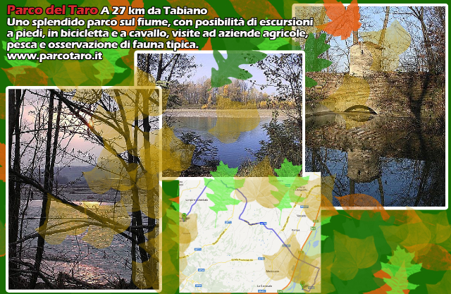 Taro Rivier Park - 12 | Secret World Trip Planner