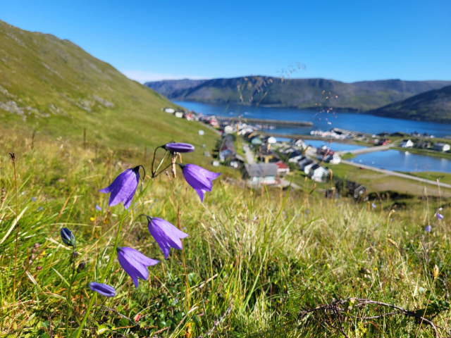 Het vissersdorp Skarsvåg - Skutnesveien | Secret World Trip Planner