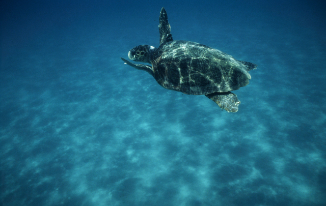 Ontdekking van de WWF Oase van Policoro - 1 | Secret World Trip Planner