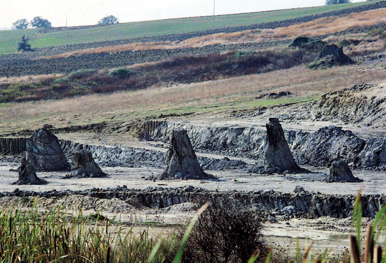 Dunarobba fossil forest - 46 | Secret World Trip Planner