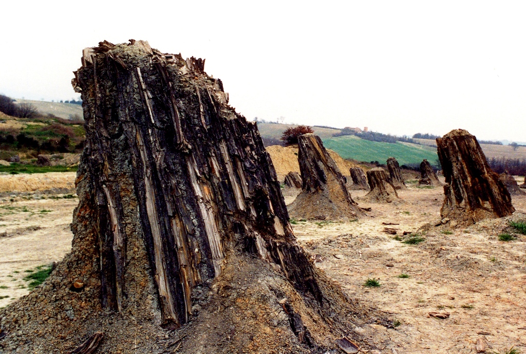 Dunarobba fossil forest - 46 | Secret World Trip Planner