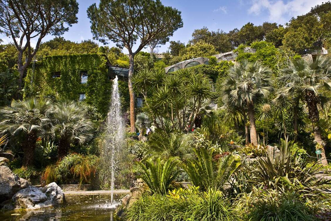 Ischia: La Mortella (The Myrtle) and Sir William Walton — Forio