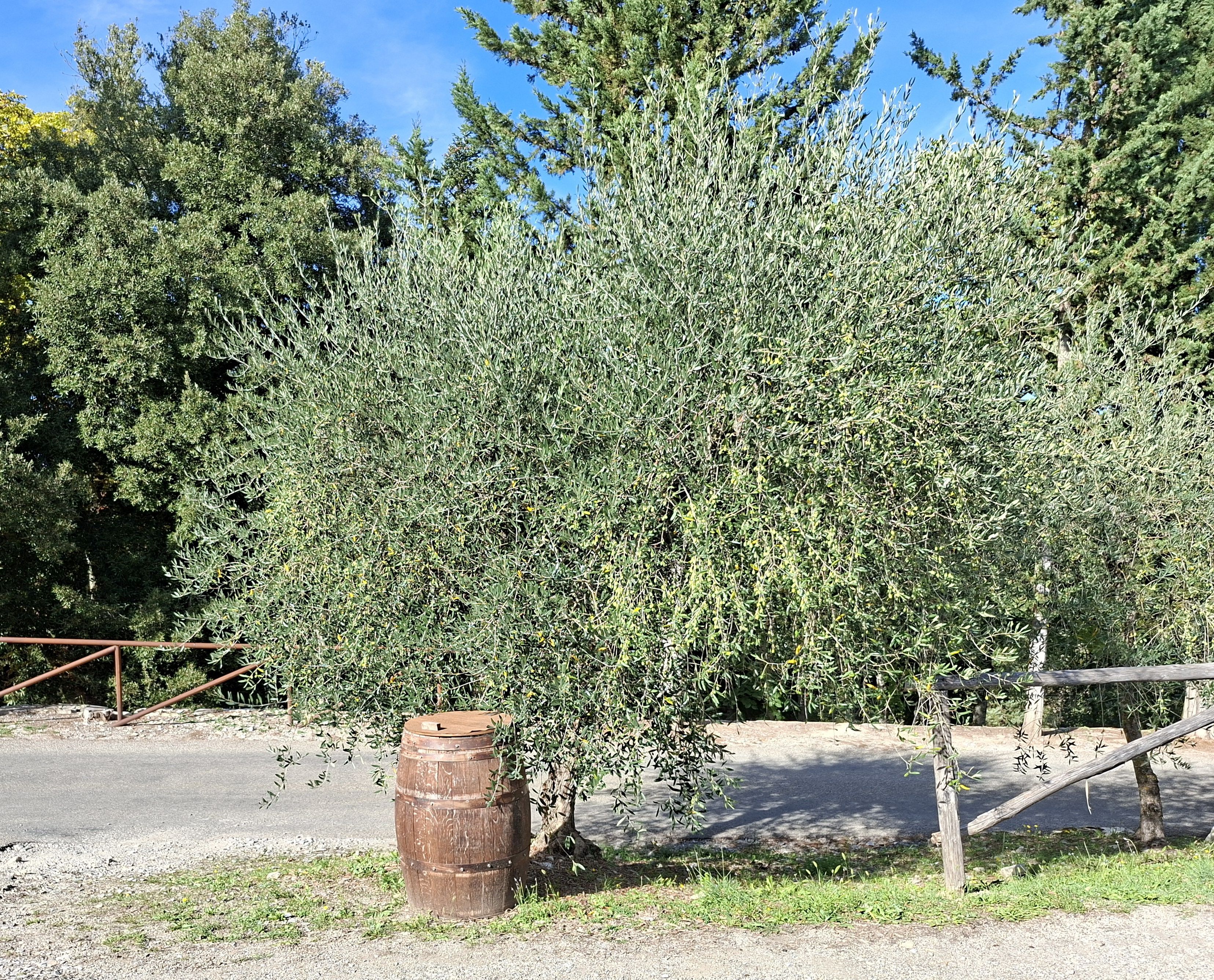 Teatrino del castello di Meleto - Gaiole In Chianti | Secret World Trip Planner