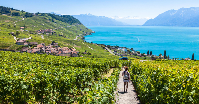 拉沃 (Lavaux)，瑞士葡萄园，联合国教科文组织遗产。 - Distretto di Lavaux-Oron | Secret World Trip Planner