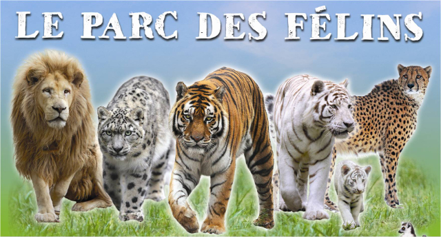 Parque de los Félins - Lumigny-Nesles-Ormeaux | Secret World Trip Planner