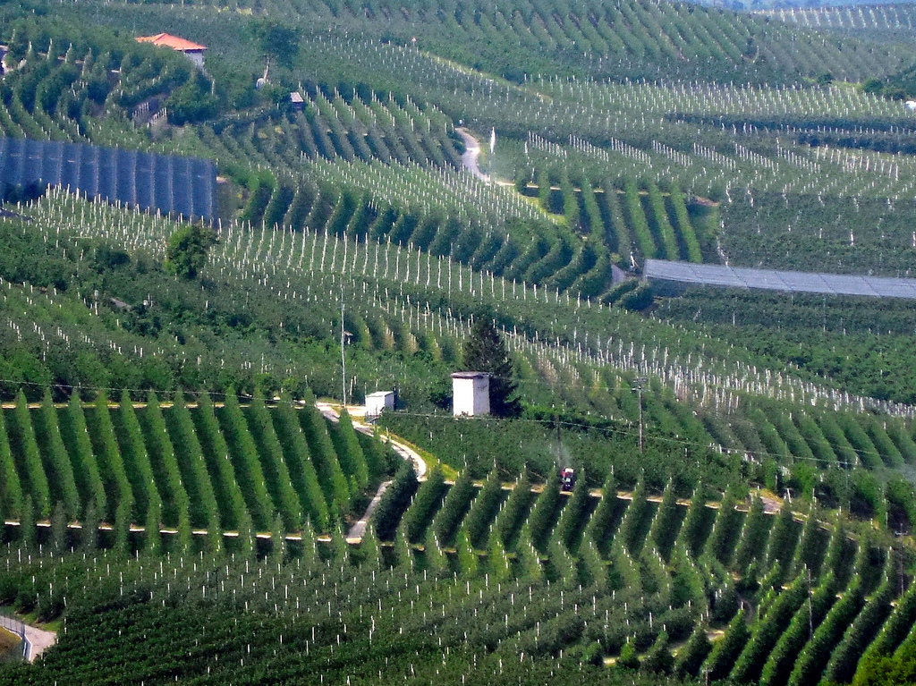 Les vergers de pommes du Val di Non - Val di Non | Secret World Trip Planner