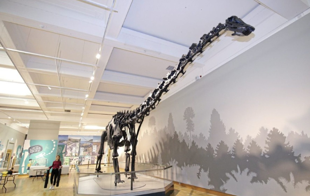 Ulster Museum - Botanic Gardens | Secret World Trip Planner