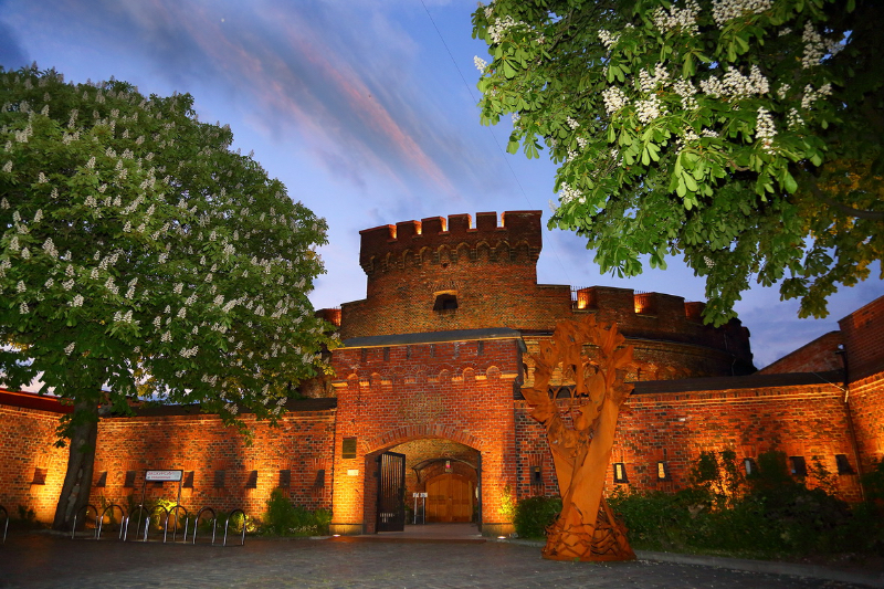 Muzeum Bursztynu - Kaliningrad | Secret World Trip Planner
