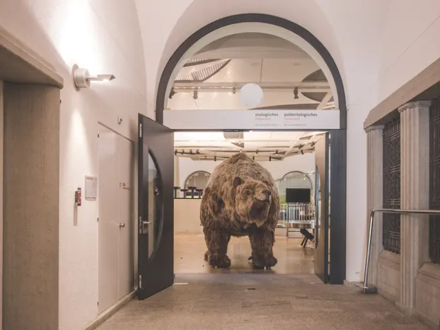 Zoölogisch Museum, Universiteit van Zürich - Zürich | Secret World Trip Planner