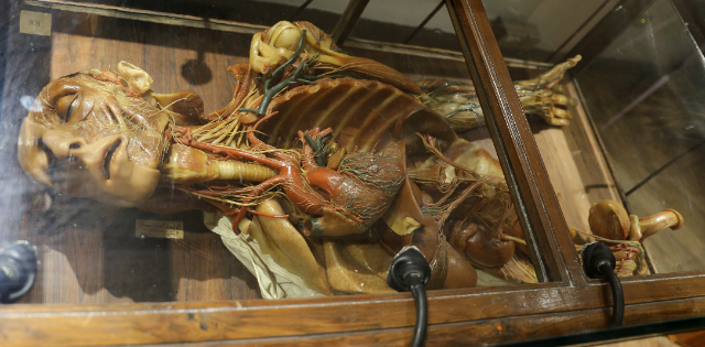 Anatomisch Wassenbeeldenmuseum - Cagliari | Secret World Trip Planner