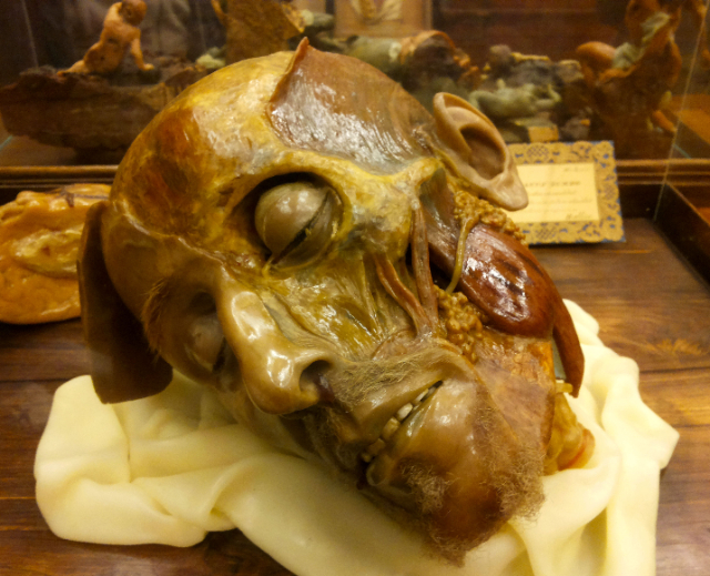 Anatomisch Wassenbeeldenmuseum - Cagliari | Secret World Trip Planner