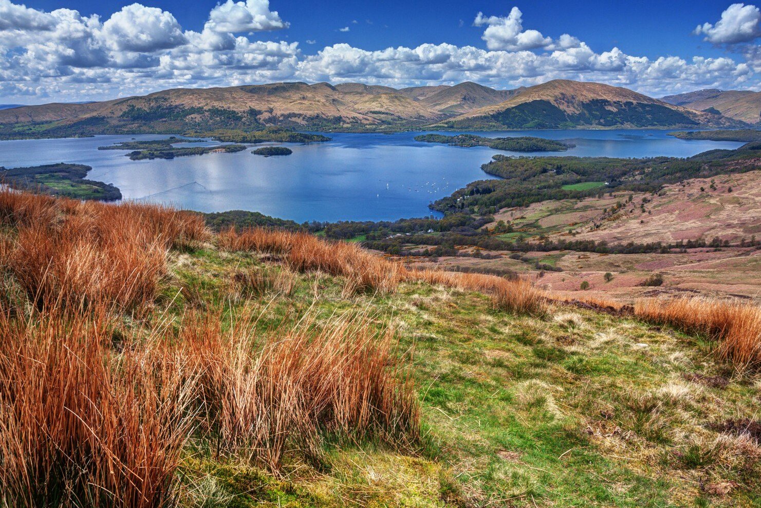Szkocja / Loch Lomond — Loch Lomond