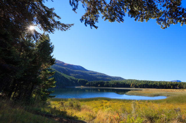 Coyhaique National Reserve - Coyhaique | Secret World Trip Planner