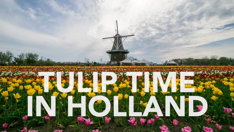 Tulpenfest - Holland | Secret World Trip Planner