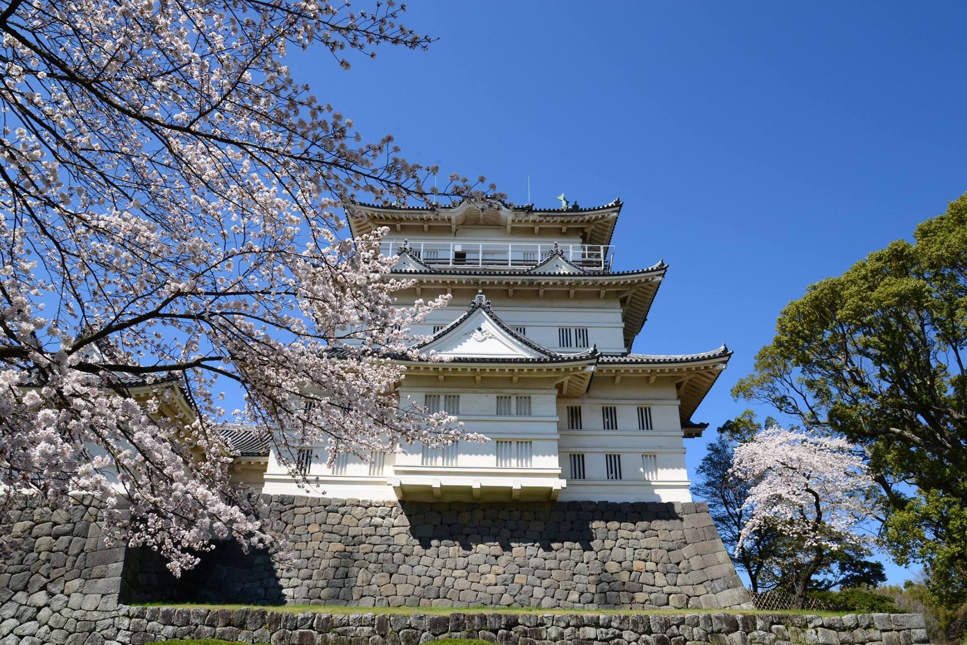 El castillo de Odawara — Odawara