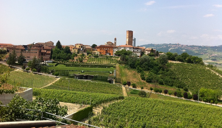 Los mejores vinos del mundo: Barbaresco - Barbaresco | Secret World Trip Planner