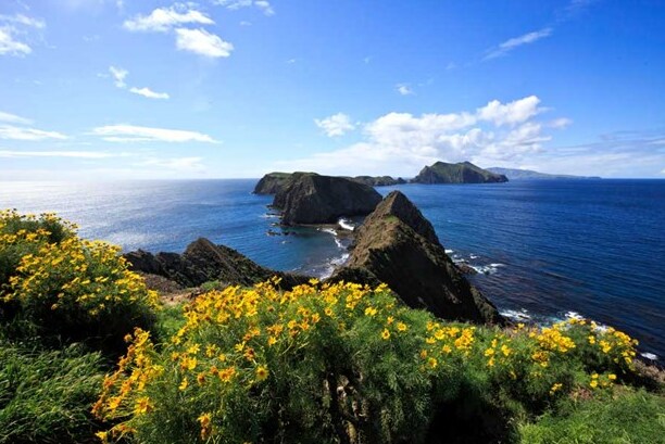 阿纳卡帕岛..一个小岛与美景 — Anacapa