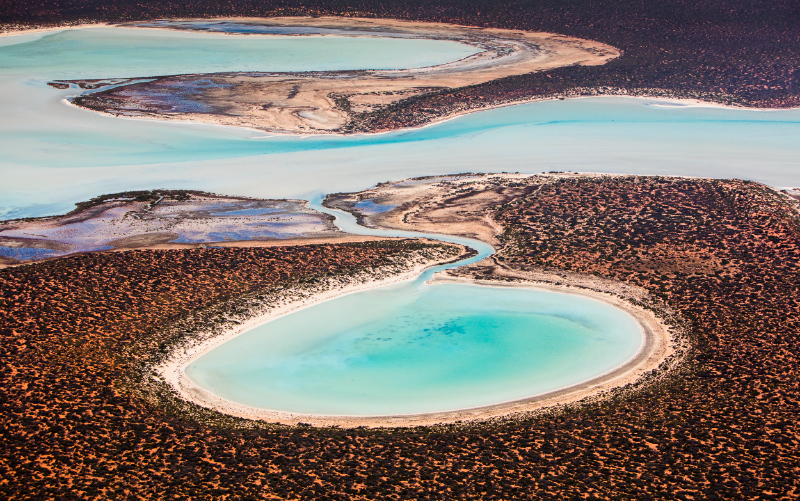西オーストラリア州、シャークベイ - Contea di Shark Bay | Secret World Trip Planner