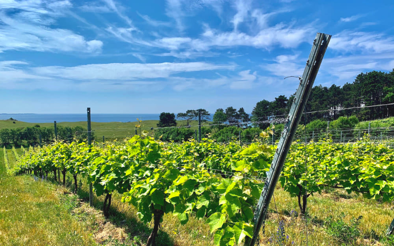 Røsnæs, and the Denmark’s Wine - Kalundborg | Secret World Trip Planner