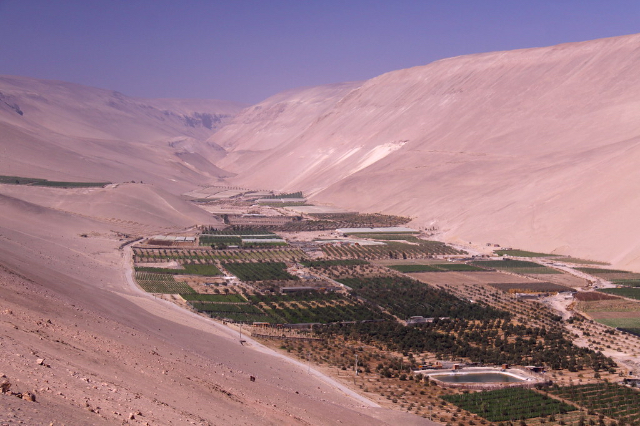 Vinhos do Vale de Azapa - Arica | Secret World Trip Planner