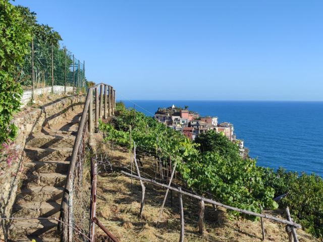 Het blauwe pad - 19016 Vernazza SP | Secret World Trip Planner