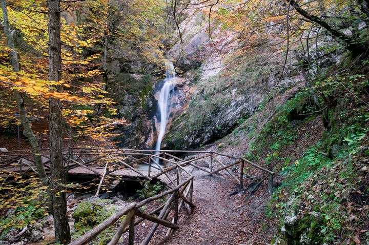 Riserva naturale della Camosciara - Pescasseroli | Secret World Trip Planner