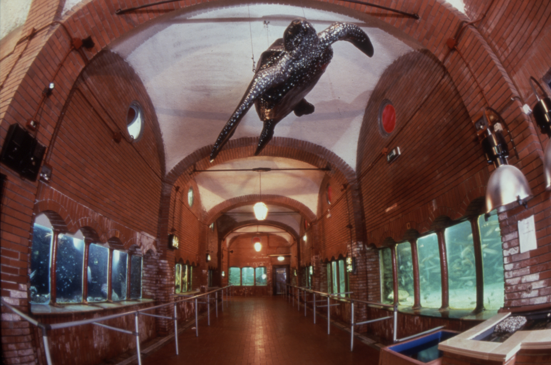 Stazione zoologica Anton Dohrn di Napoli - Napoli | Secret World Trip Planner