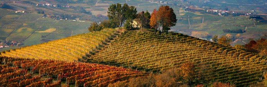 Barolo ed il suo vino - Barolo | Secret World Trip Planner