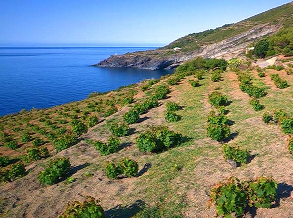 Zibibbo - Pantellerìa | Secret World Trip Planner
