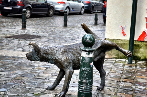 Zinneke Pis - il cane che fa la pipì (Zinneke Pis) - Bruxelles | Secret World Trip Planner