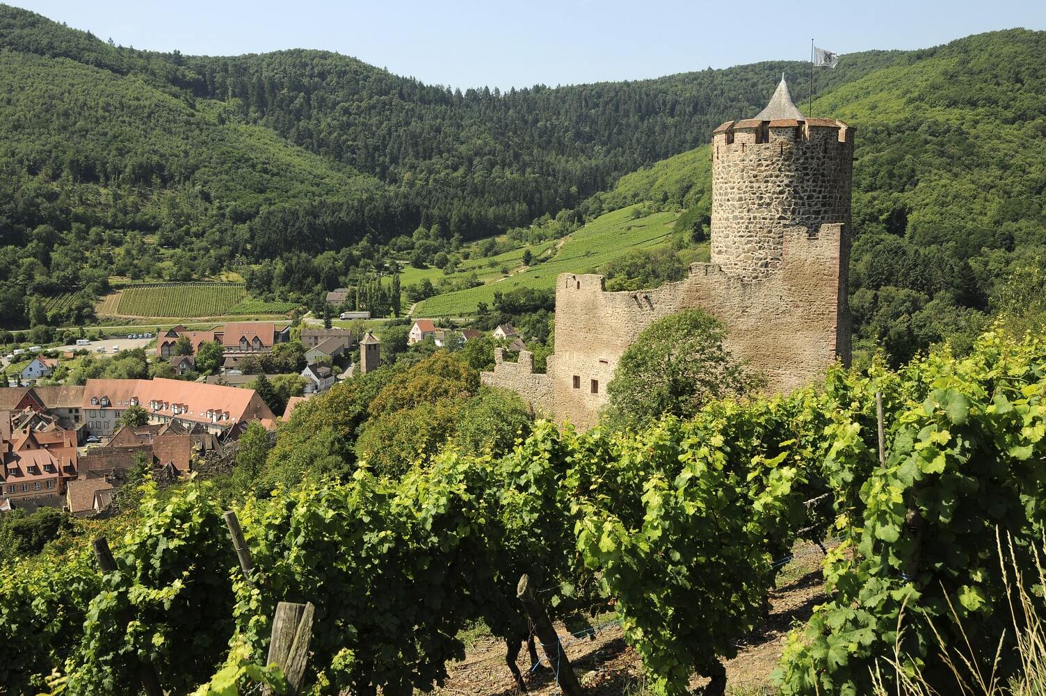 Kaysersberg auf der Route du vin - Kaysersberg | Secret World Trip Planner