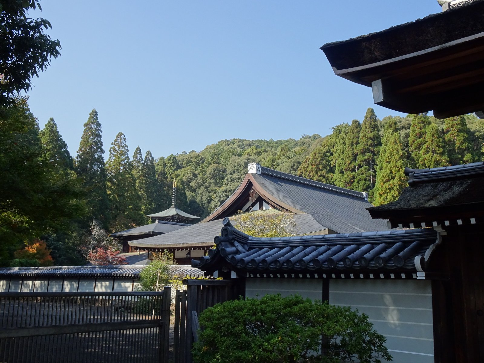 京都。花园和西保寺 - Ky?to-shi | Secret World Trip Planner