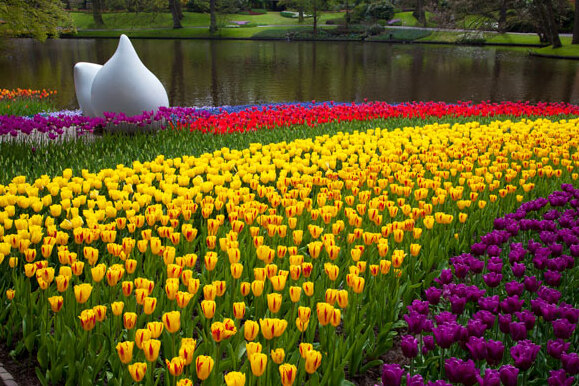Keukenhof Gardens an Amazing Spring Garden - Lisse | Secret World Trip Planner