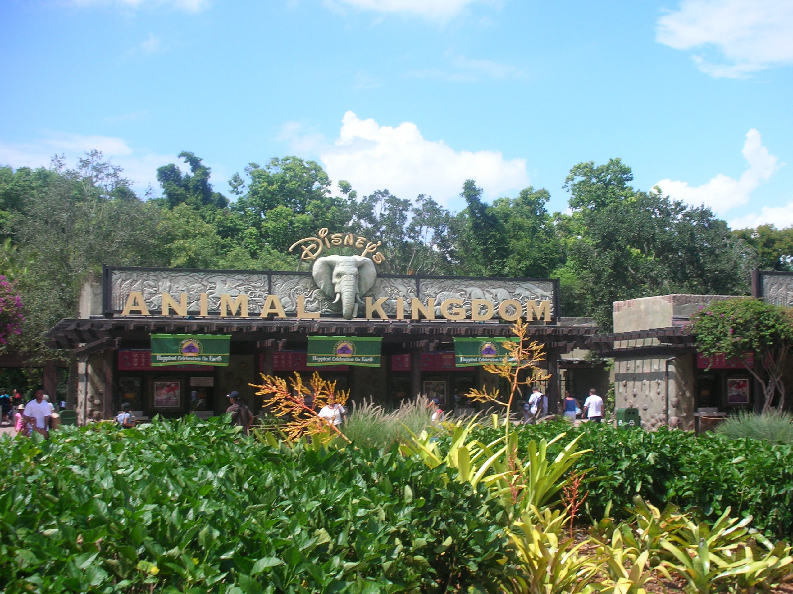 华特迪士尼世界的迪士尼动物王国 - Kissimmee | Secret World Trip Planner