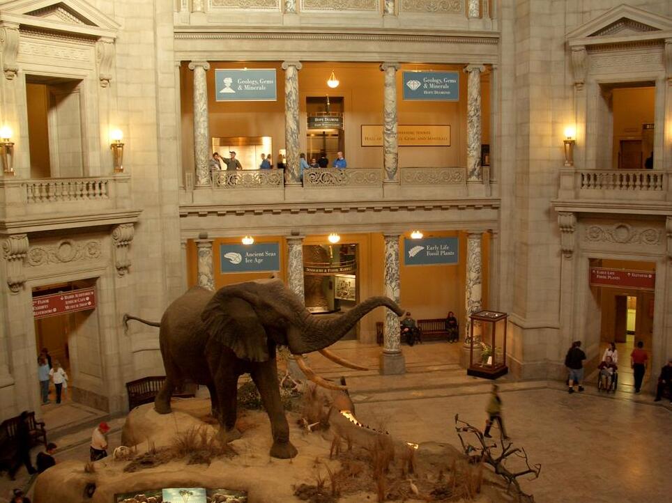 Smithsonian National Museum of Natural History | Secret World Trip Planner