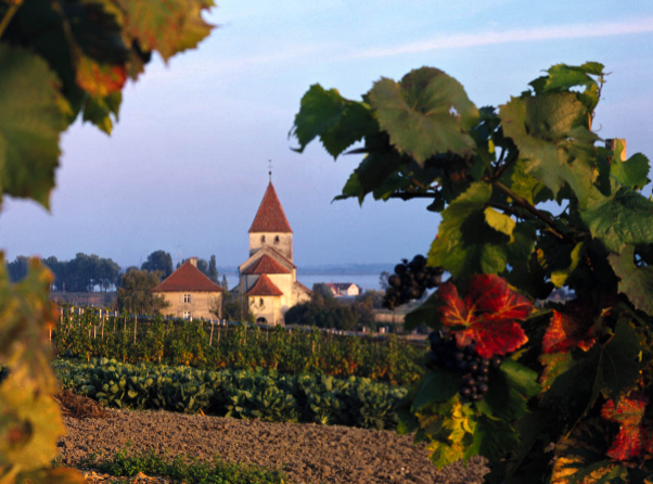 The island of Reichenau on Lake Constance - Reichenau | Secret World Trip Planner