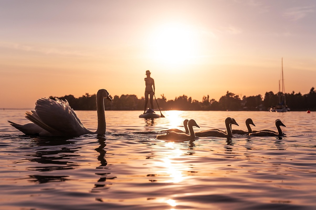 Die Mainau ist eine Insel im Bodensee - Costanza | Secret World Trip Planner