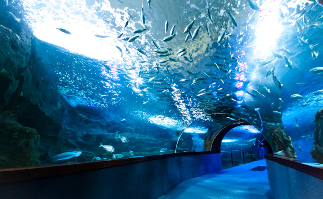 Aquarium de San Sebastián — Donostia