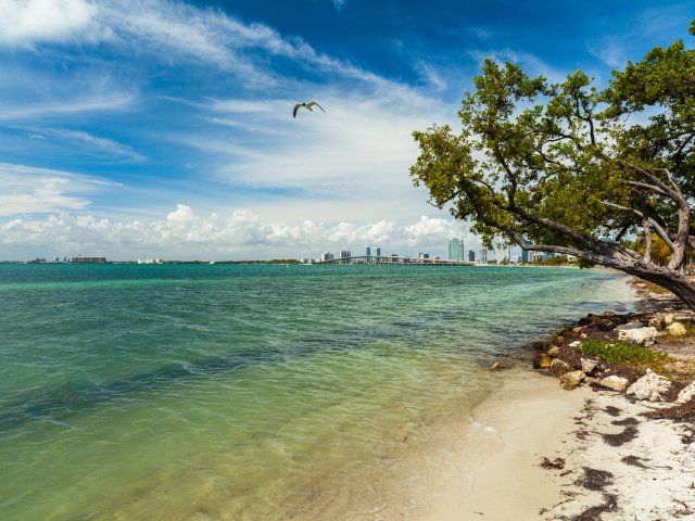 Virginia Key Beach Park - Florida | Secret World Trip Planner