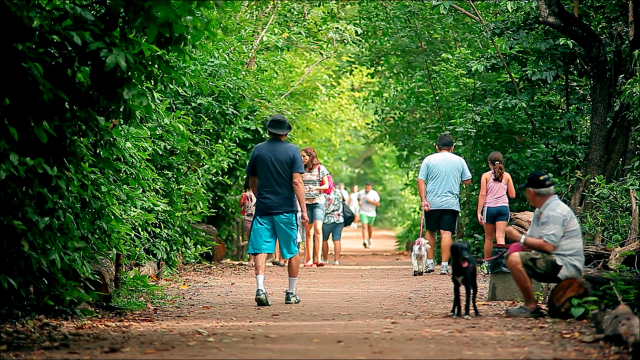 Parque Estadual do Cocó - Fortaleza - CE | Secret World Trip Planner