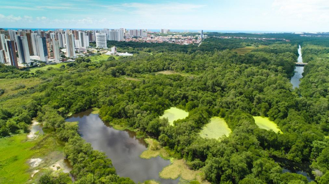 Parc d'État de Cocó - Fortaleza - CE | Secret World Trip Planner