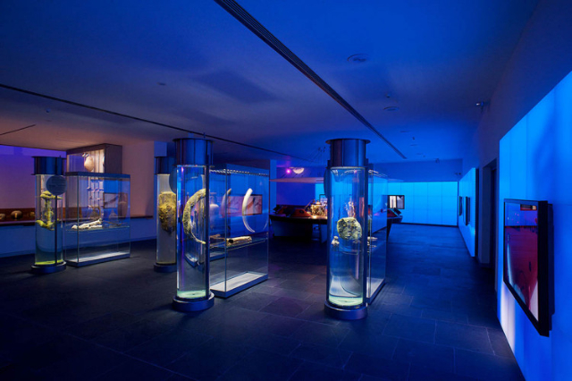 National Museum of Underwater Archaeology - Cartagena | Secret World Trip Planner