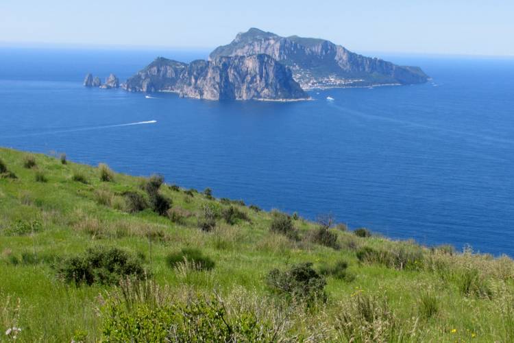 Punta Campanella - Area naturale marina protetta Punta Campanella | Secret World Trip Planner